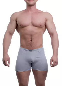 Atlet мужские трусы шорты боксеры 950119 серый меланж